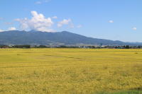 おすすめイメージ